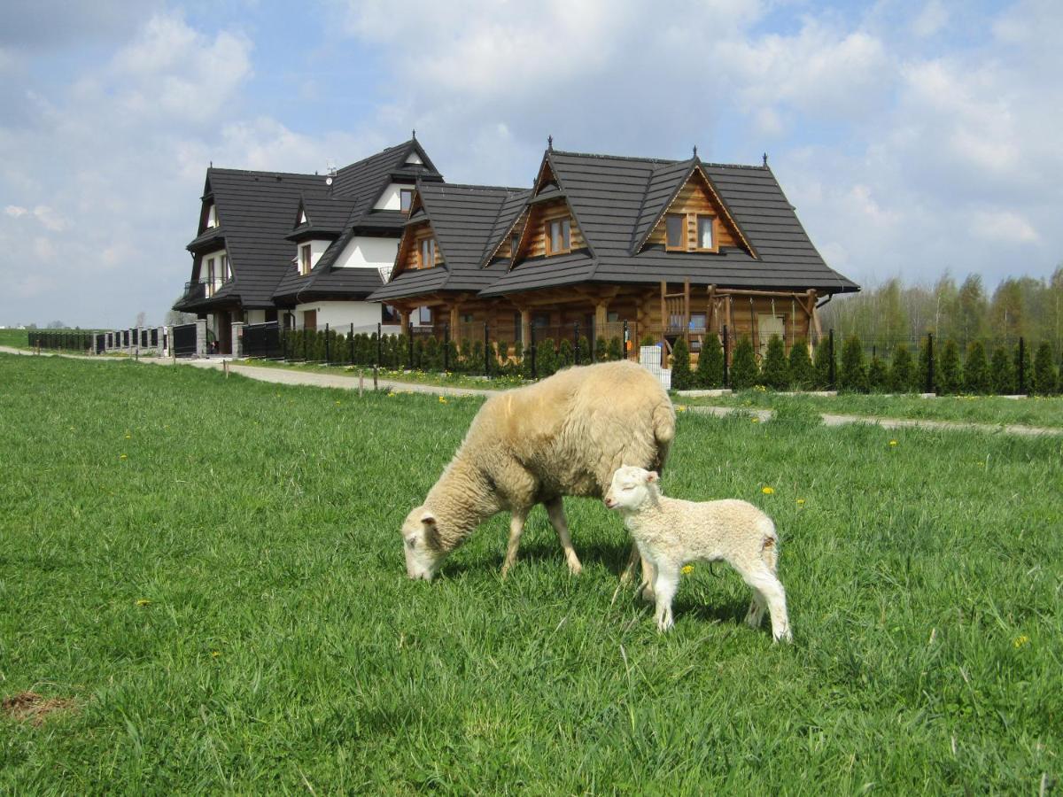 & Białka